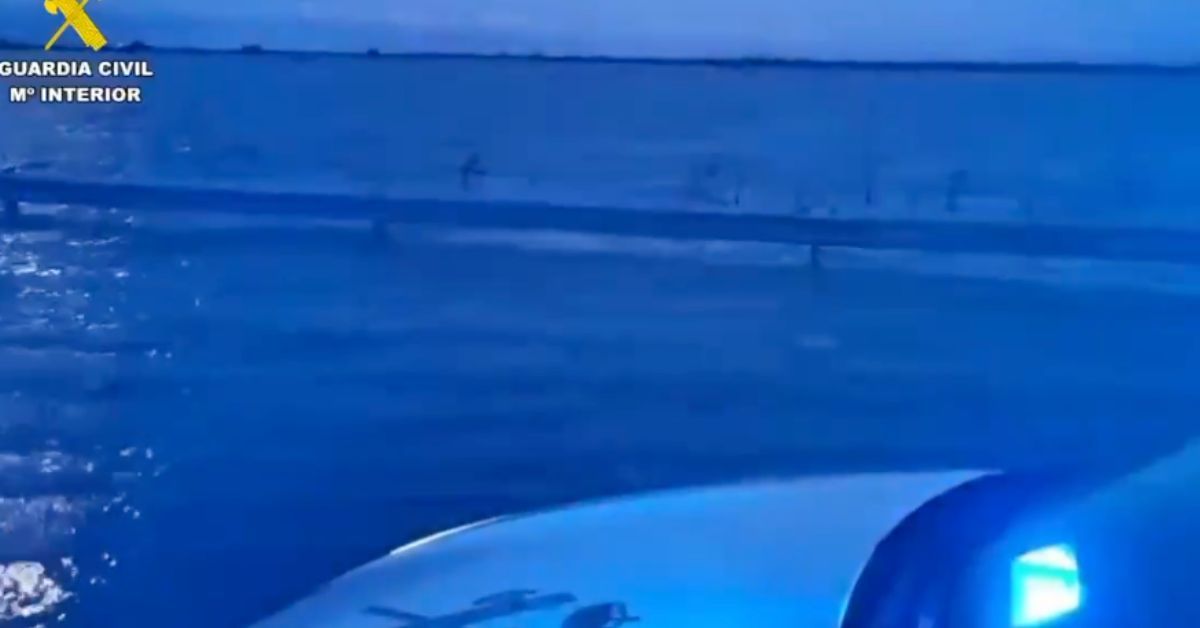 Así sigue estando la autopista que une Cádiz y Sevilla 24 horas después. - 
