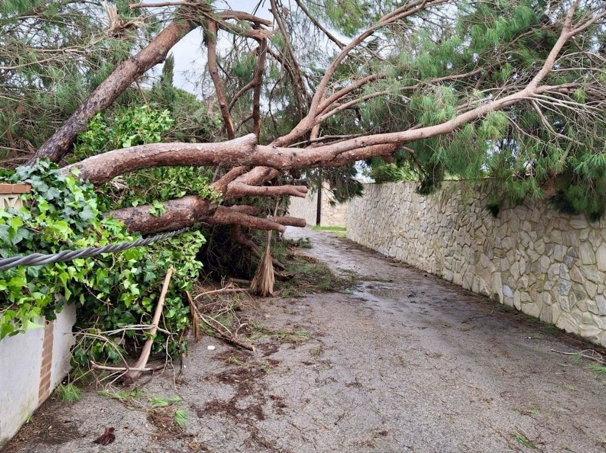 Destrozos tras el paso del tornado en Conil. - 