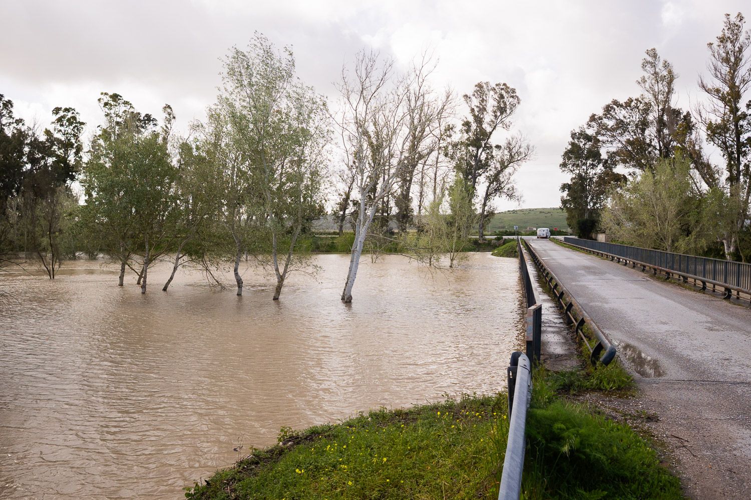 El río Guadalete baja su cota medio metro en un día: hay optimismo por la 