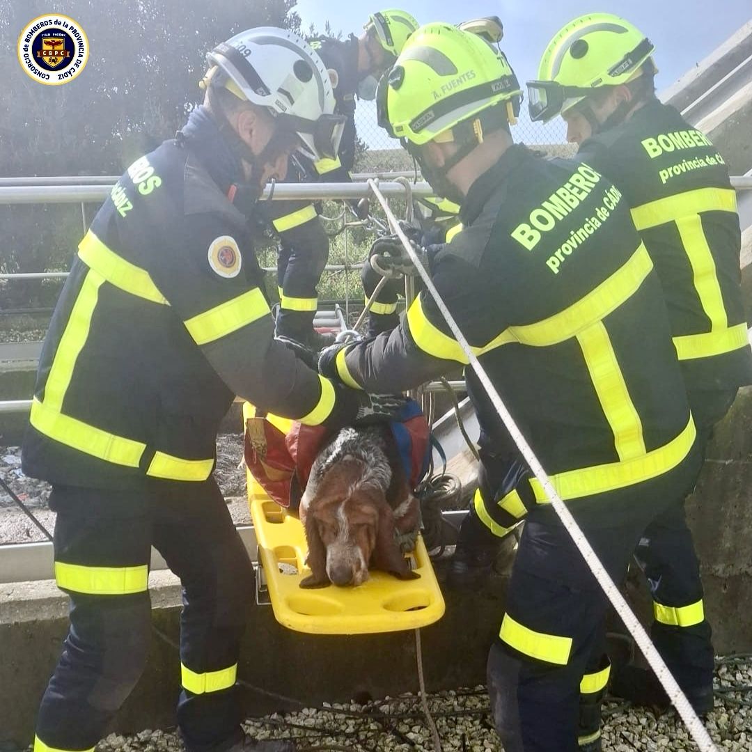 Rescate de uno de los perros en Puerto III. - 