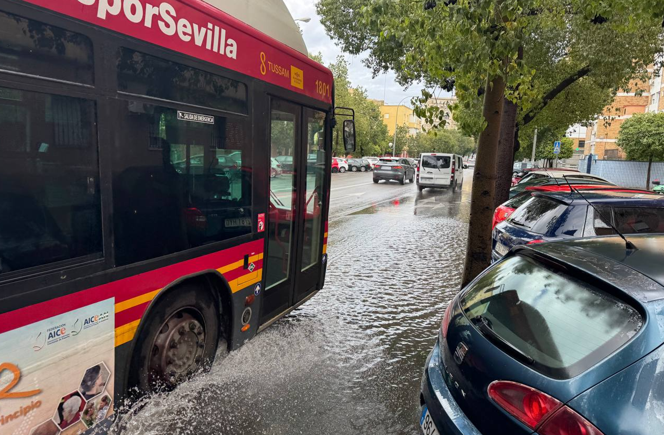 El charco de cada barrio en Sevilla: un tussam en el del Tiro de Línea. - 