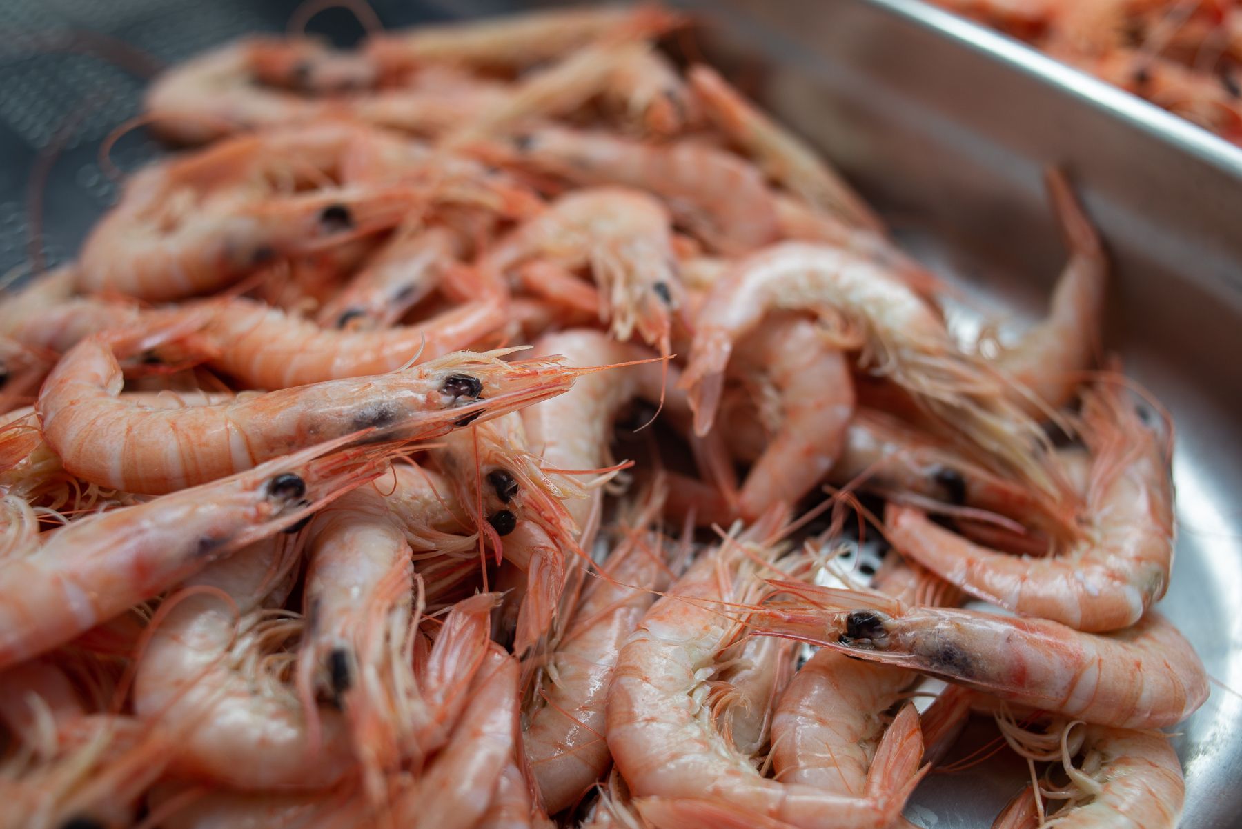 Gambas en una imagen de archivo. - MANU GARCÍA