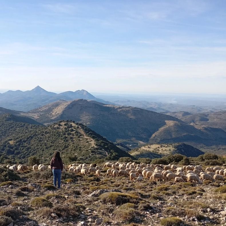 Cuando los pastores dejamos de tener voz, de Savia Rural. - 