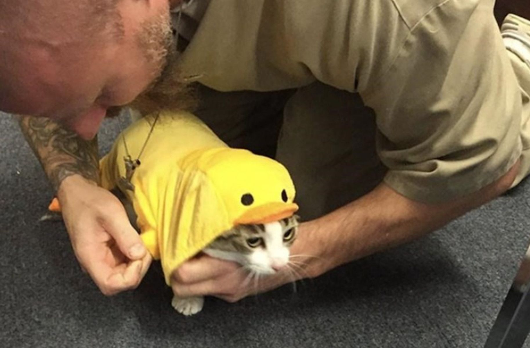 Un preso cuidando a un gato en una prisión en una imagen de 'Indystar'. - 
