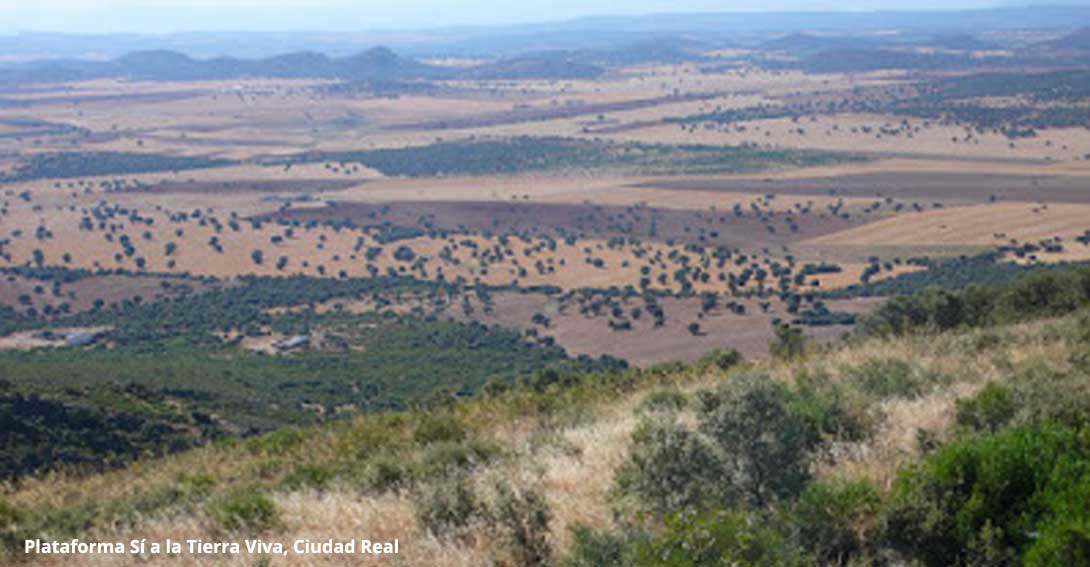 El Campo de Montiel. - 