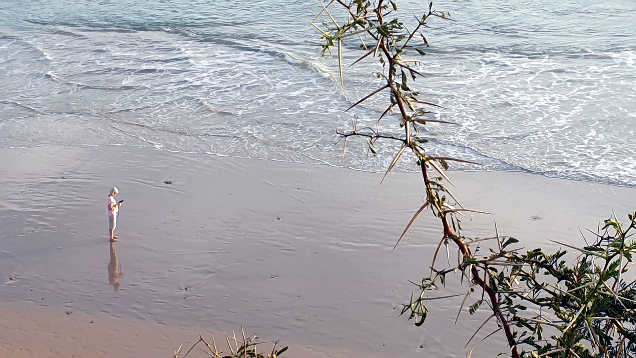 Mujer en la playa.   - 