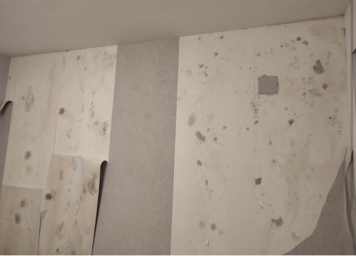 La pesadilla de los vecinos de una urbanización de Jerez: "Hemos pagado ...