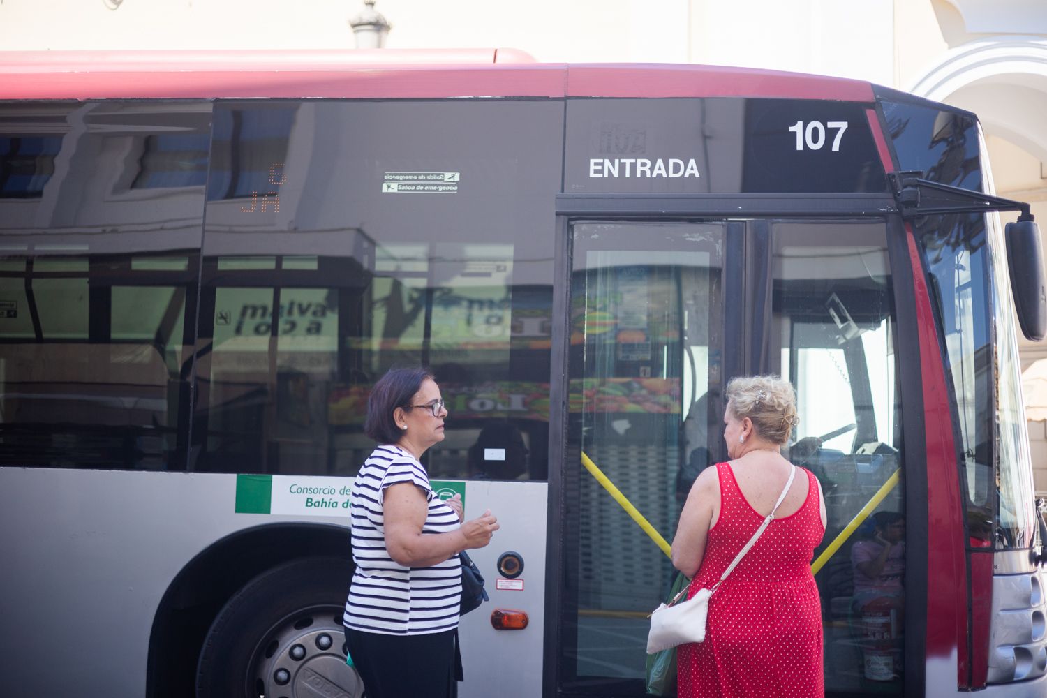 Autobuses urbanos en Jerez, en una imagen reciente. - MANU GARCÍA