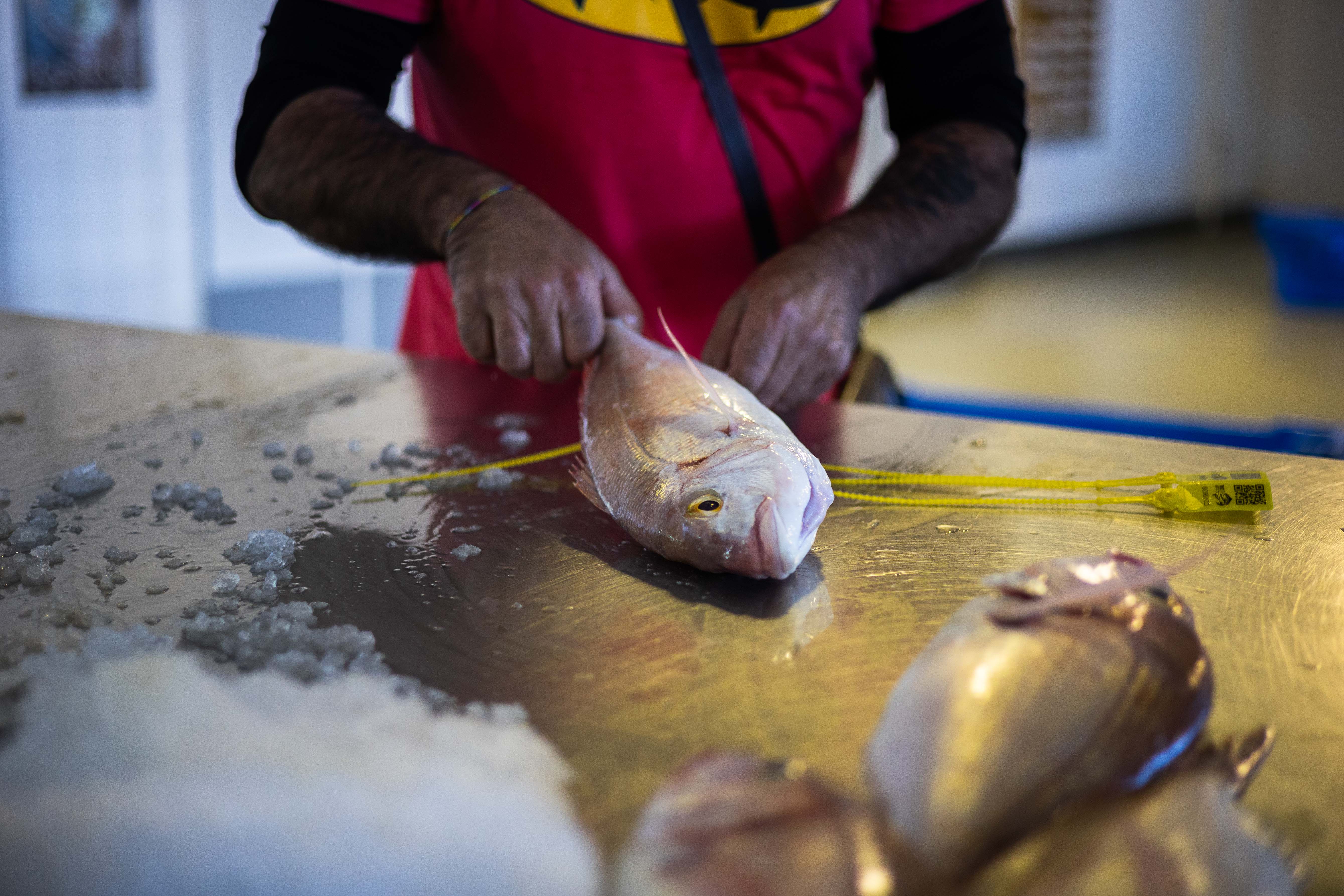 Pescado en una imagen de archivo.  - MANU GARCÍA