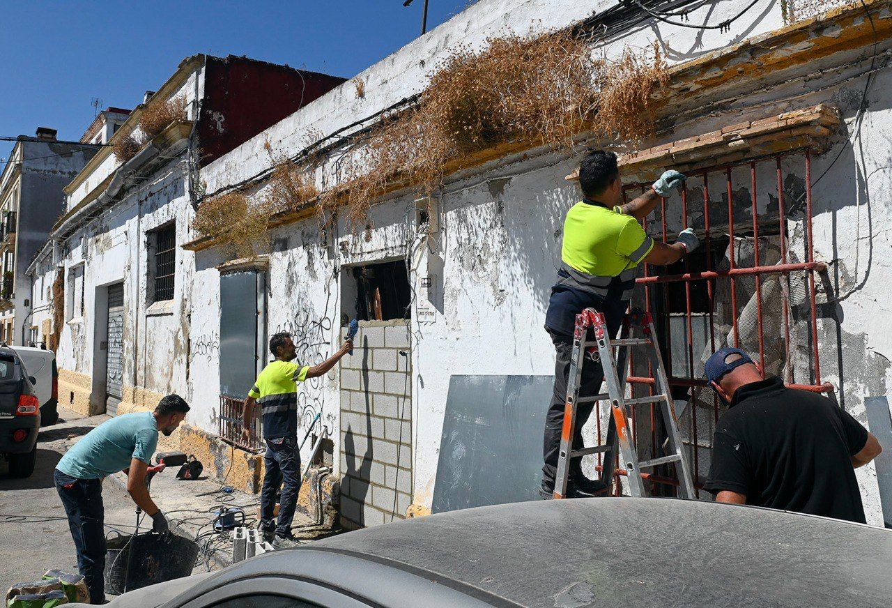 El Ayuntamiento de Jerez detalla su plan para acabar con la plaga de ratas en el solar abandonado de La Albarizuela
