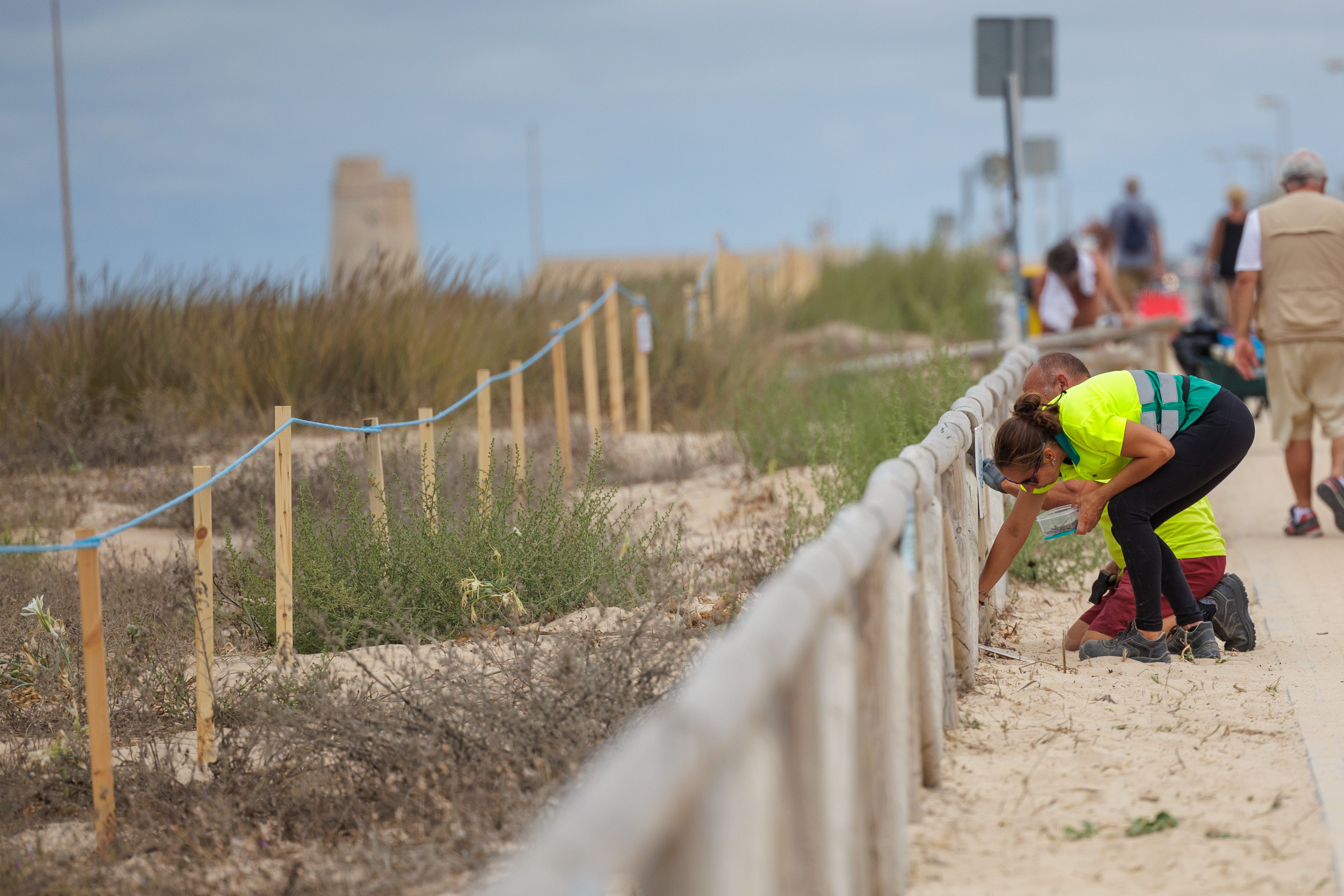 Proteger la naturaleza frente al turismo masivo: 