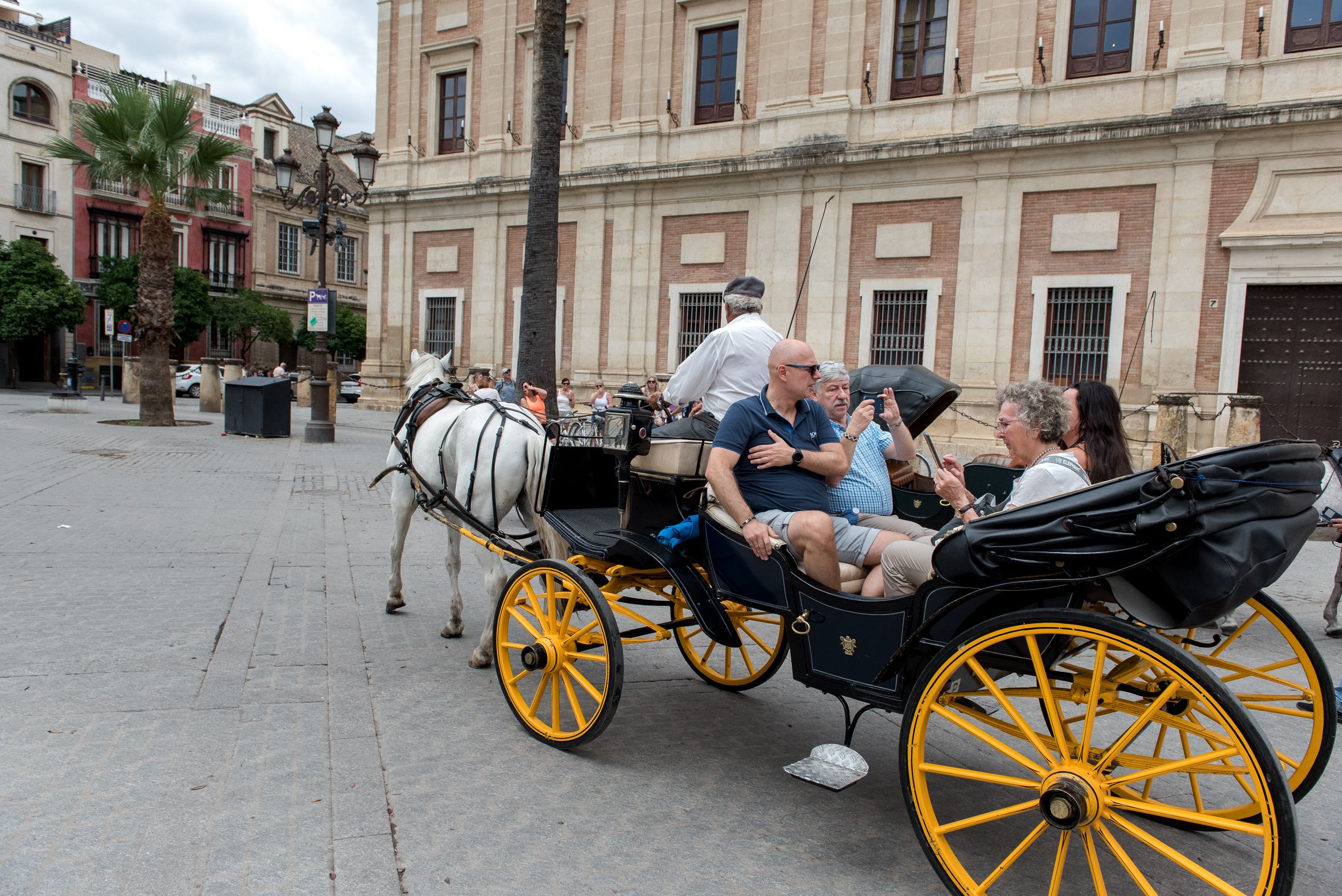 Pacma pide retirar las licencias a los coches de caballos en Sevilla cuyos trabajadores no estén dados de altas en la Seguridad Social