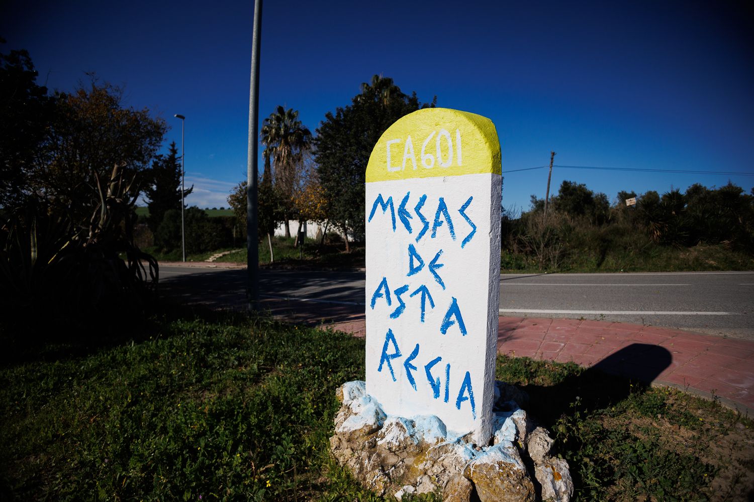 El pleno de Jerez aprueba el cambio de nombre de Mesas de Asta a Mesas de Asta Regia