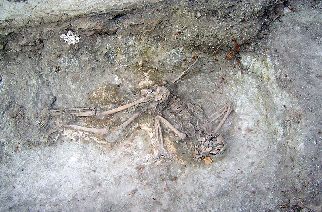 Andalucía celebra (en silencio) los 20 años de su primera exhumación pública de víctimas del franquismo
