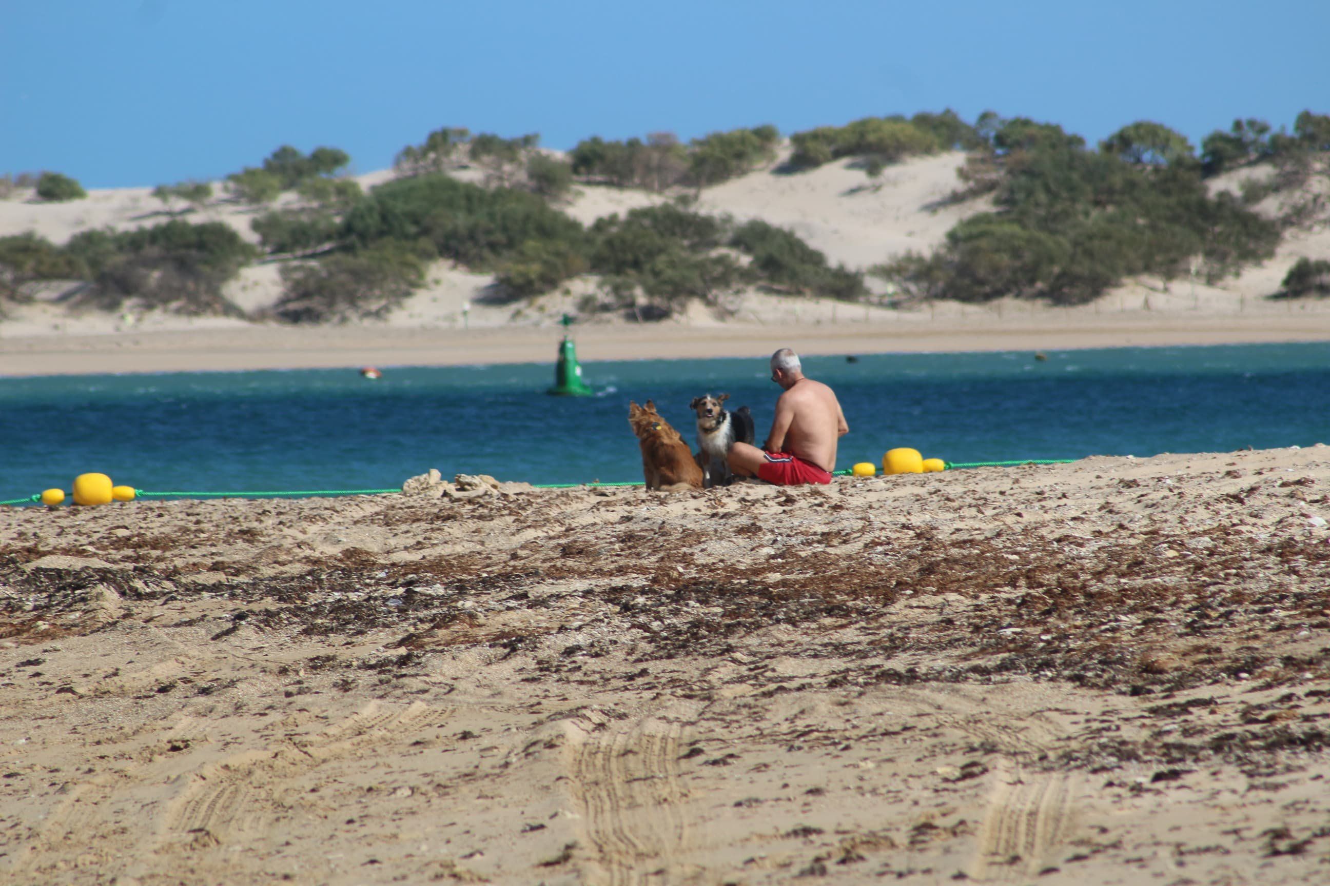 Los vecinos de Puerto Real piden una playa canina: 