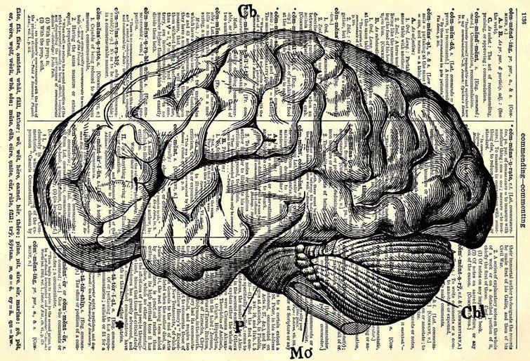 ¡Escáneres cerebrales gratuitos, ya! Según el escritor y neurocientífico Robert Sapolsky, no existiría el libre albedrío. - 