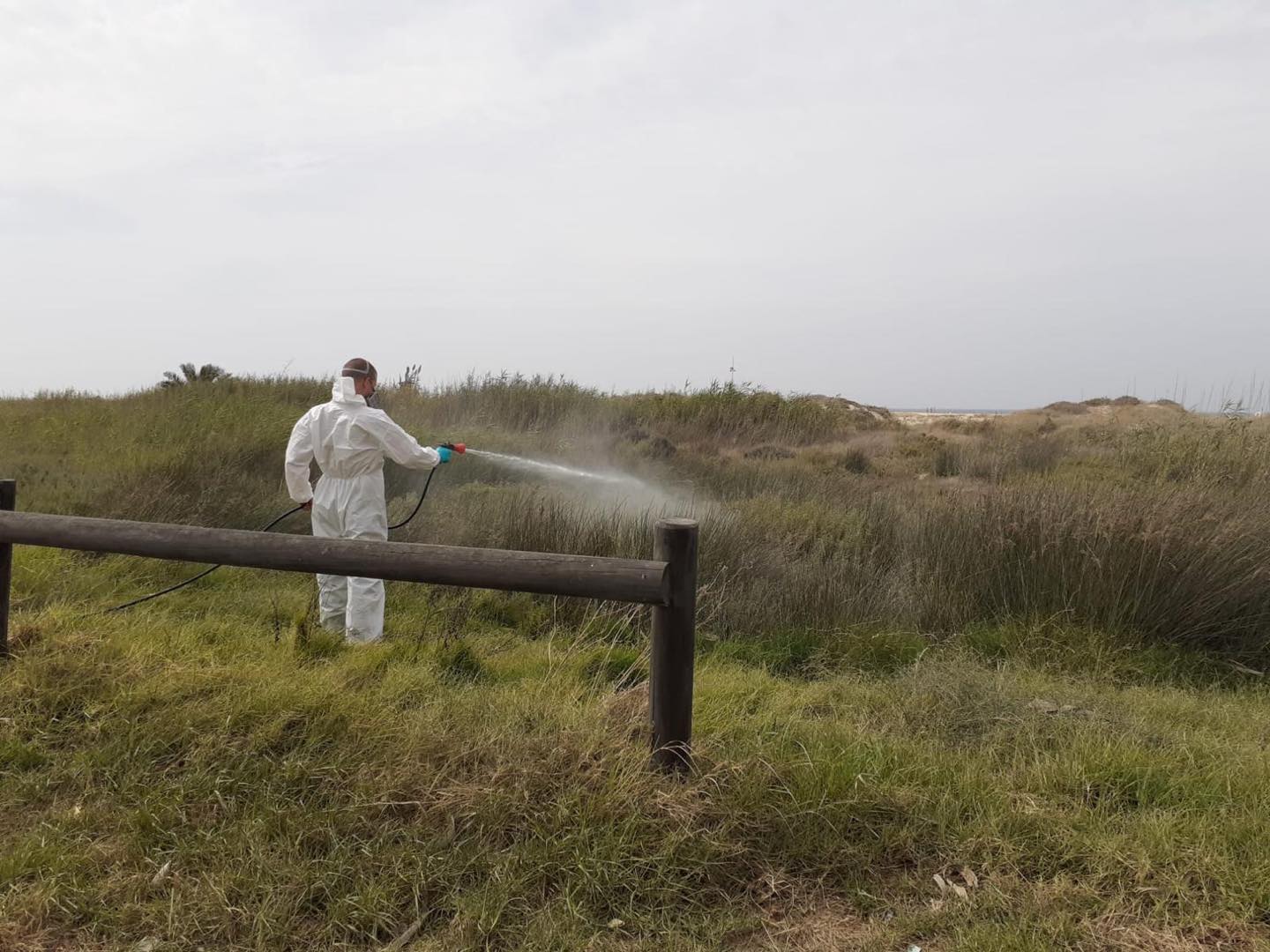 Barbate también entra en alerta por el virus del Nilo tras detectarse en El Puerto el primer caso de la provincia de Cádiz