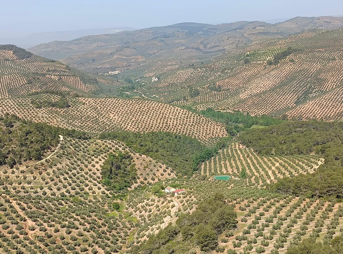 Uno de los paisajes - 