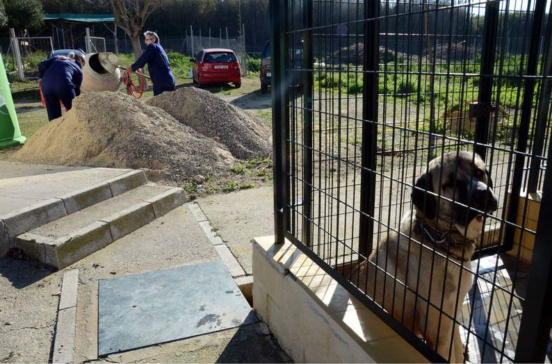 El PSOE acusa al gobierno de Jerez de "utilizar a las protectoras para la foto" y desviar 60.000 euros de Protección Animal