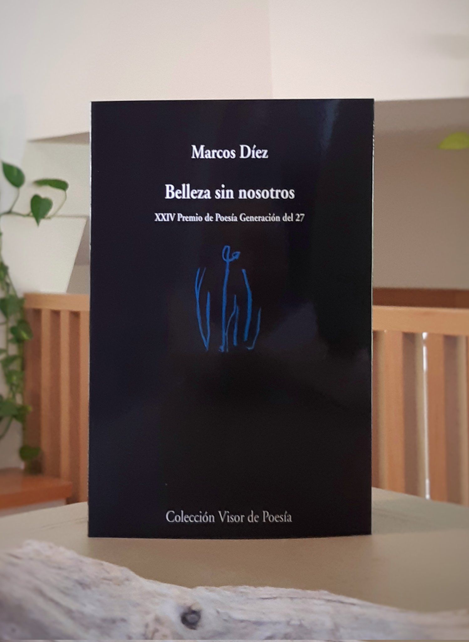 Reseña de 'Belleza sin nosotros', de Marcos Díez