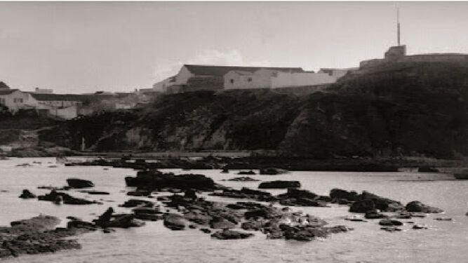 Dama Blanca XIV (extra) - Algeciras