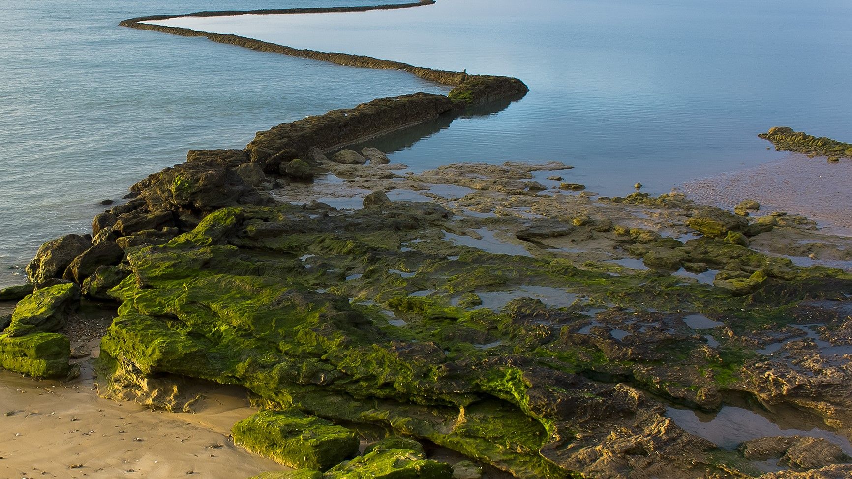 Encuentran unas murallas que podrían confirmar que la Atlántida estaba en la costa de Cádiz