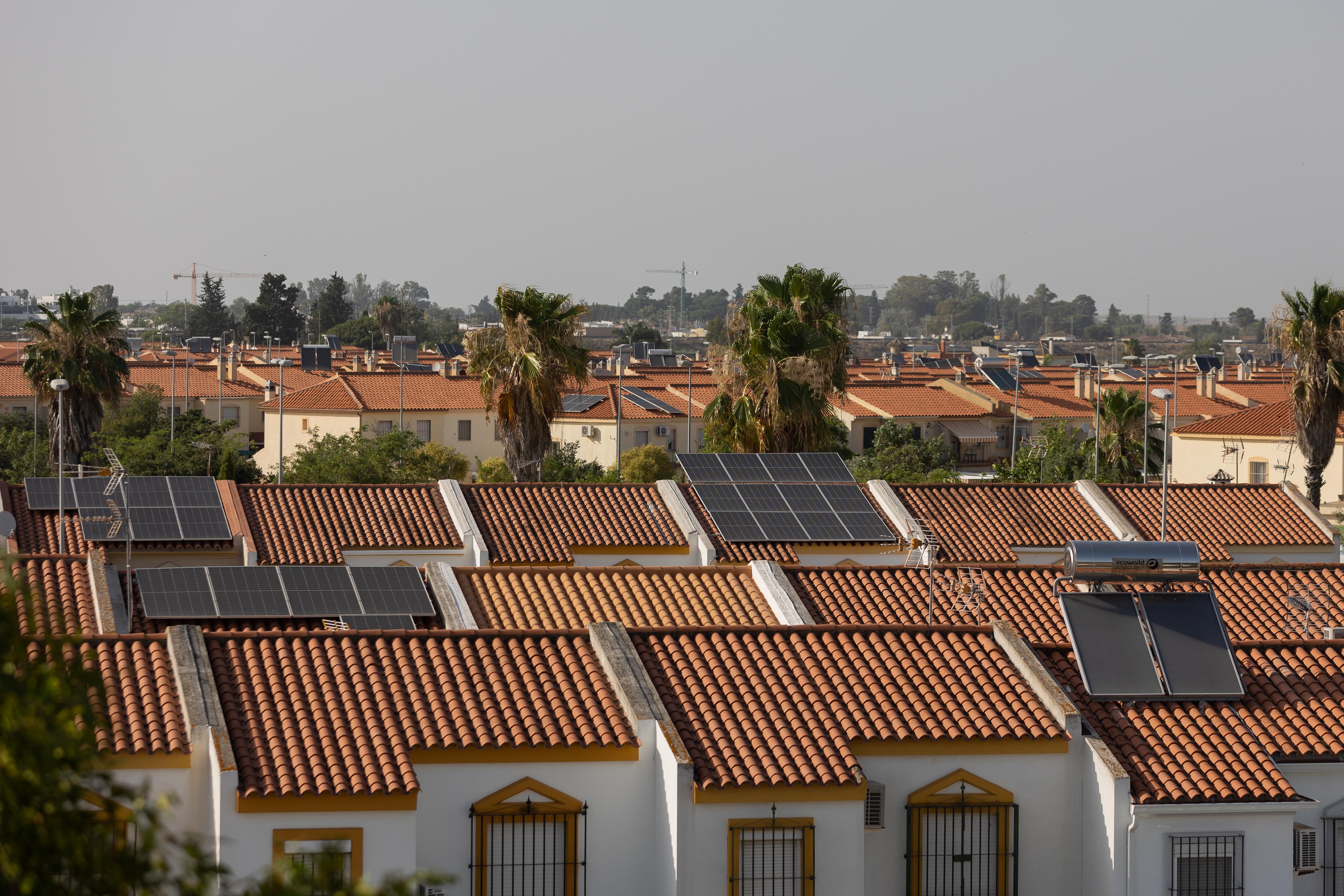 Precio de la luz hoy 30 de agosto: curva extrema de coste con fortísimo desplome antes de una subida final