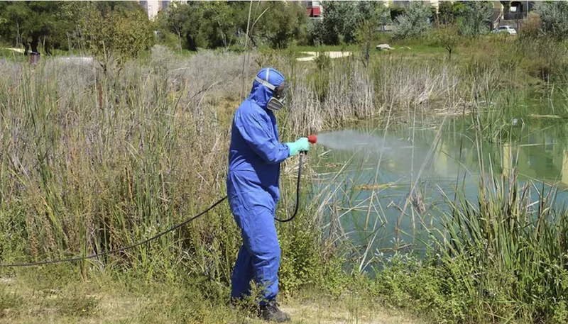 Un total de 122 municipios, en nivel de riesgo alto: Andalucía eleva a doce los contagios por virus del Nilo 