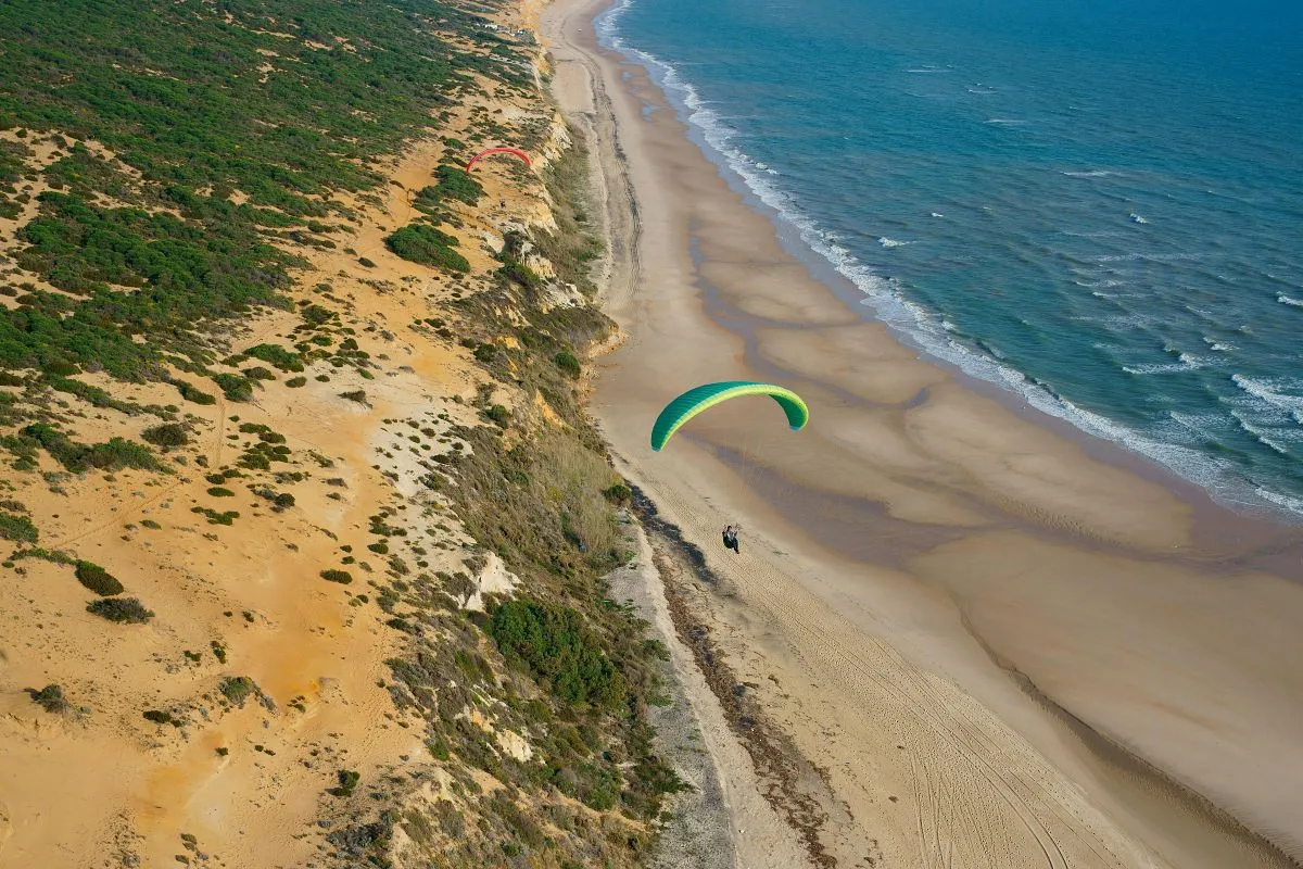 Vista aérea de la playa de Matalascañas en la zona que se adentra en Doñana. - Vista aérea de la playa de Matalascañas en la zona que se adentra en Doñana.