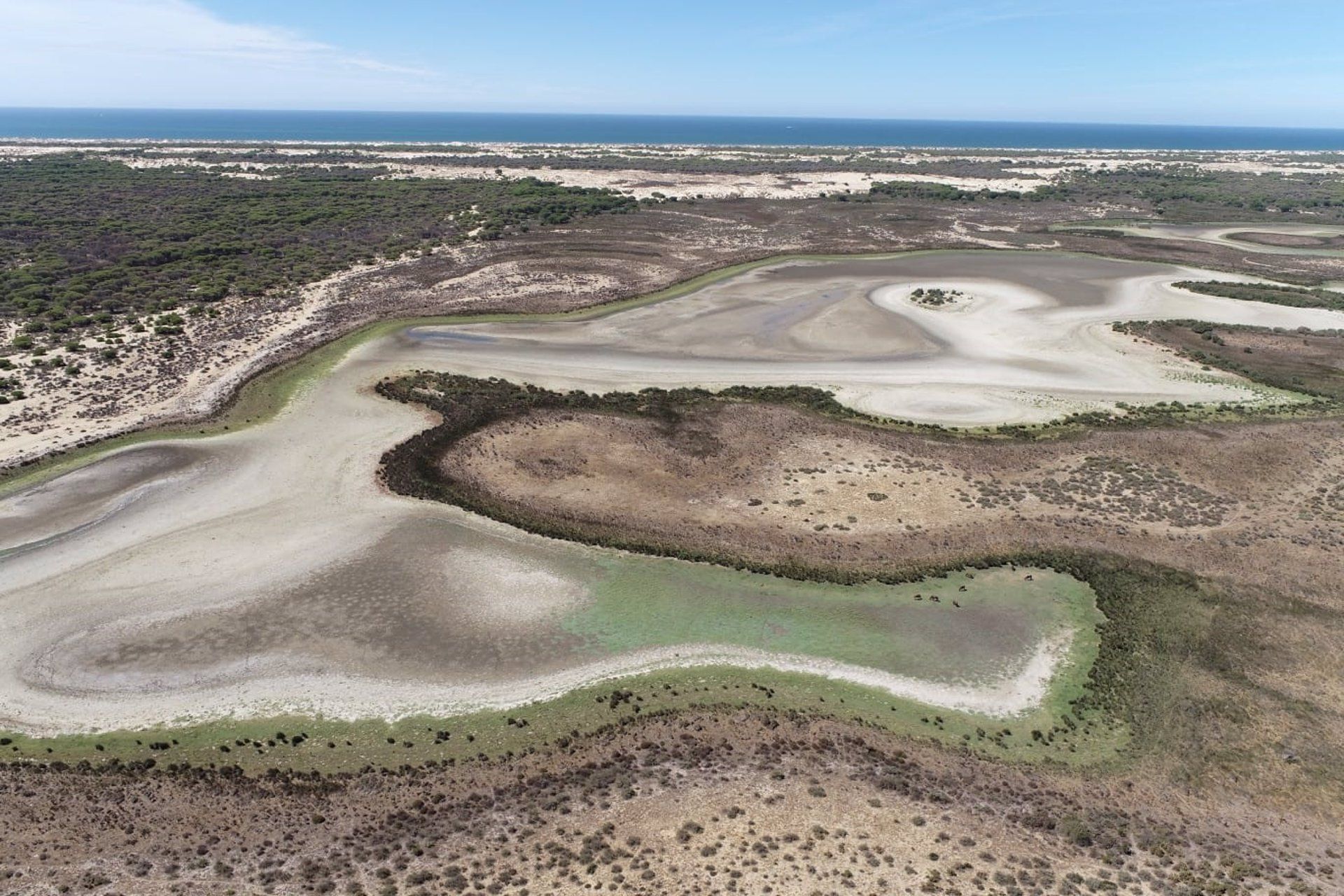 La laguna de Santa Olalla, en Doñana, seca, en una foto reciente del SIC. - 