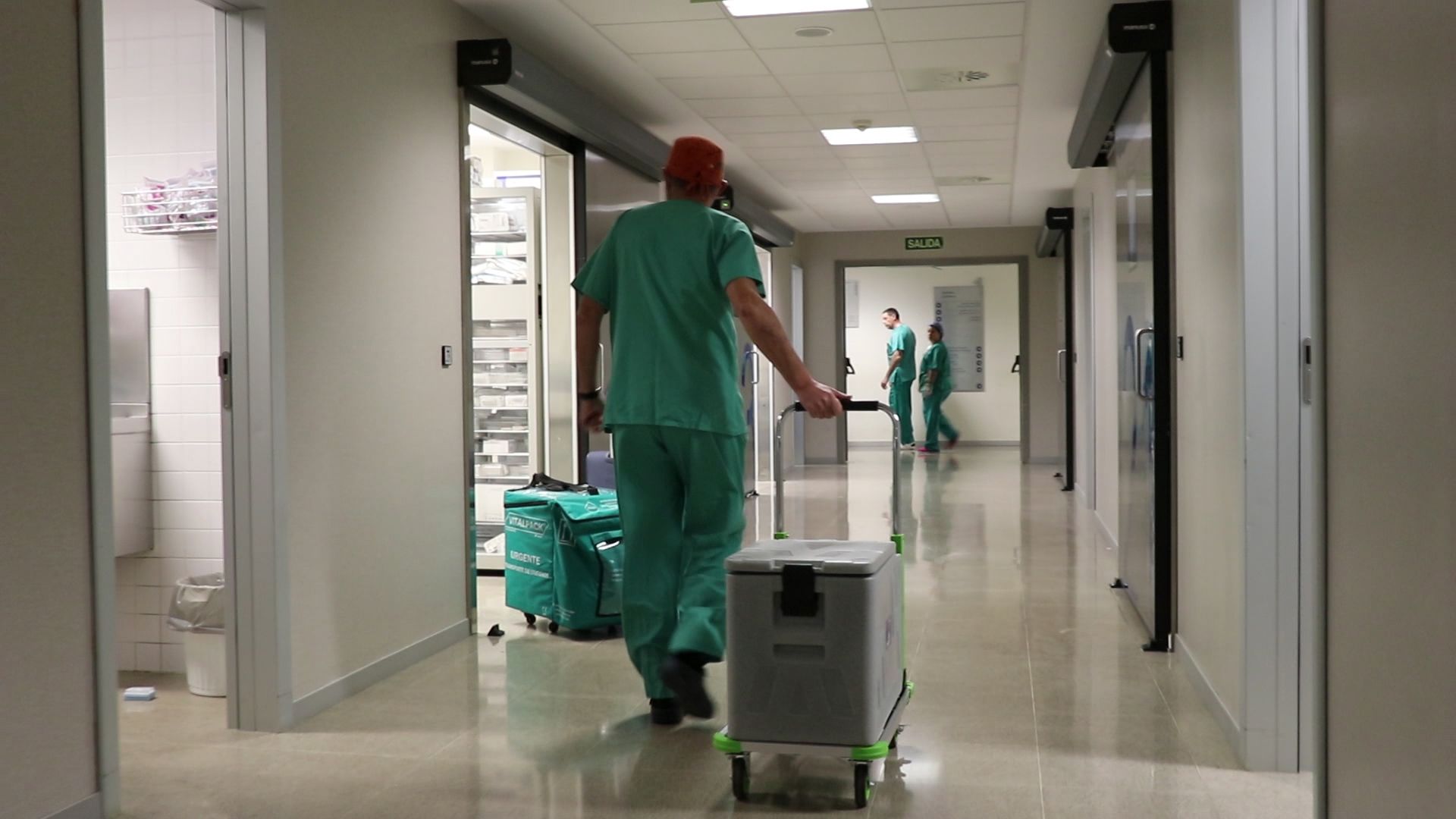 Personal sanitario en un hospital. - 