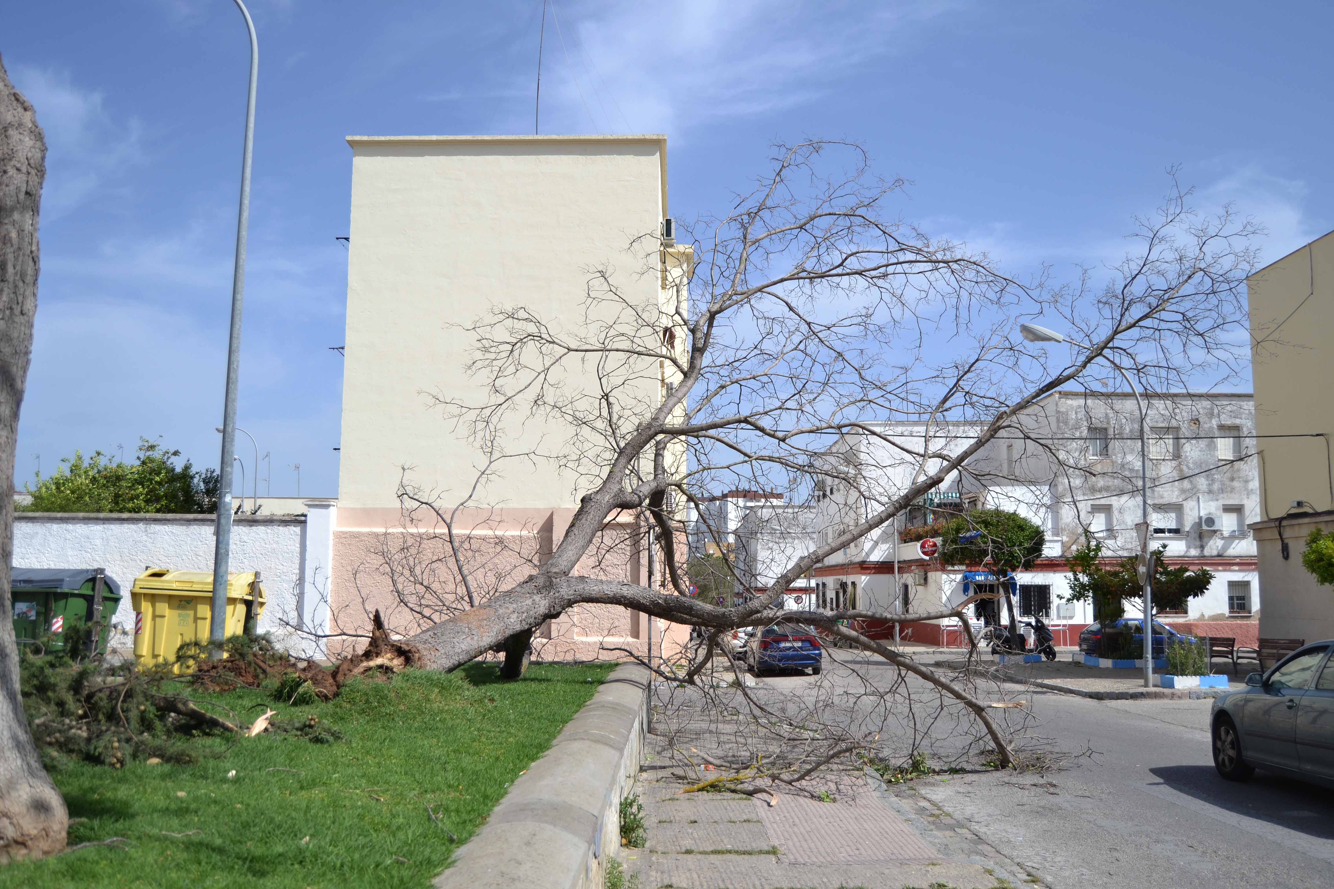 Aviso naranja por fuertes vientos en Jerez: cerrados parques, jardines e instalaciones municipales al aire libre