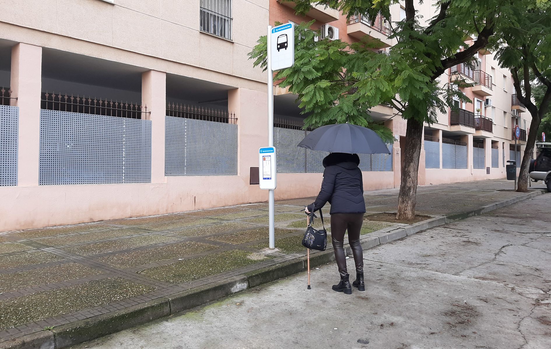 Una parada de autobús en Jerez. - 