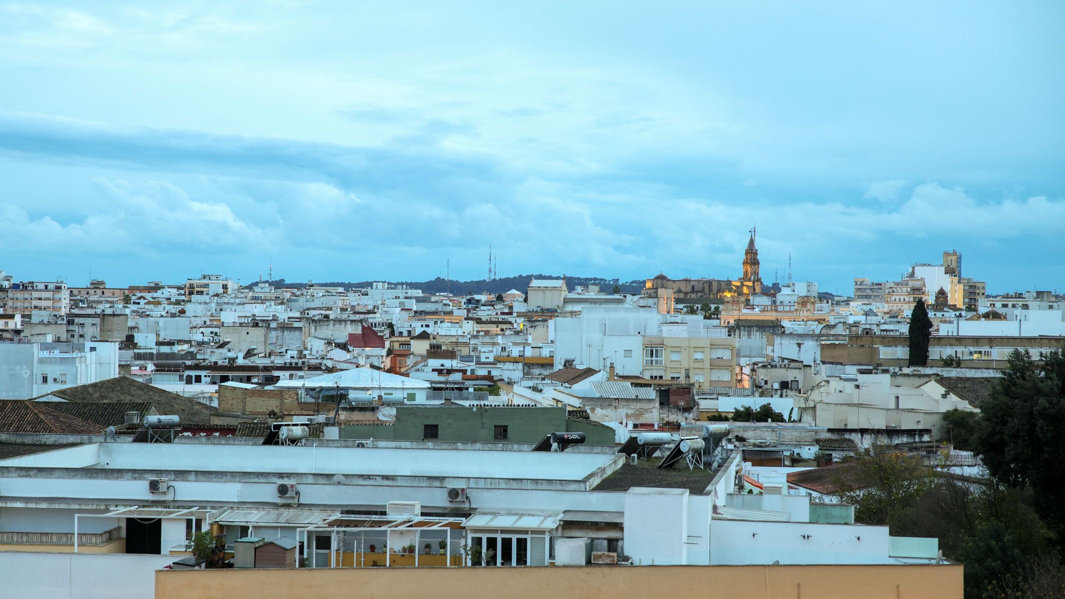 Vista parcial del centro de Jerez. - JUAN CARLOS TORO