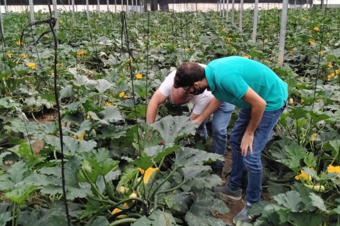 COAG exige una Ley Integral de Agricultura y Ganadería en Andalucía para proteger cultivos bajo amenaza de convertirse en parques de energías renovables