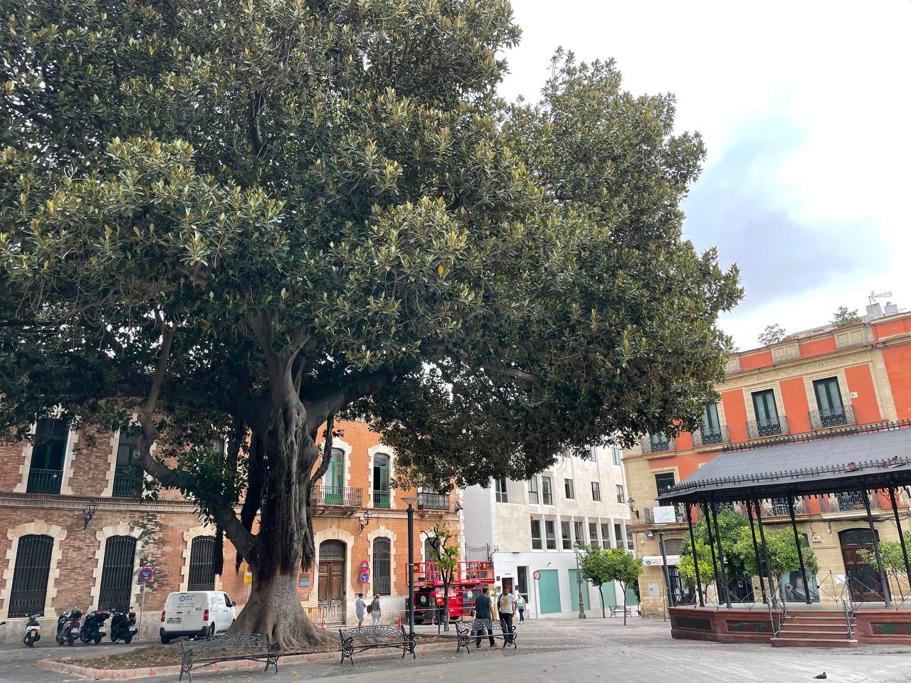 Polémica en Jerez por los refugios climáticos: Adelante habla de 