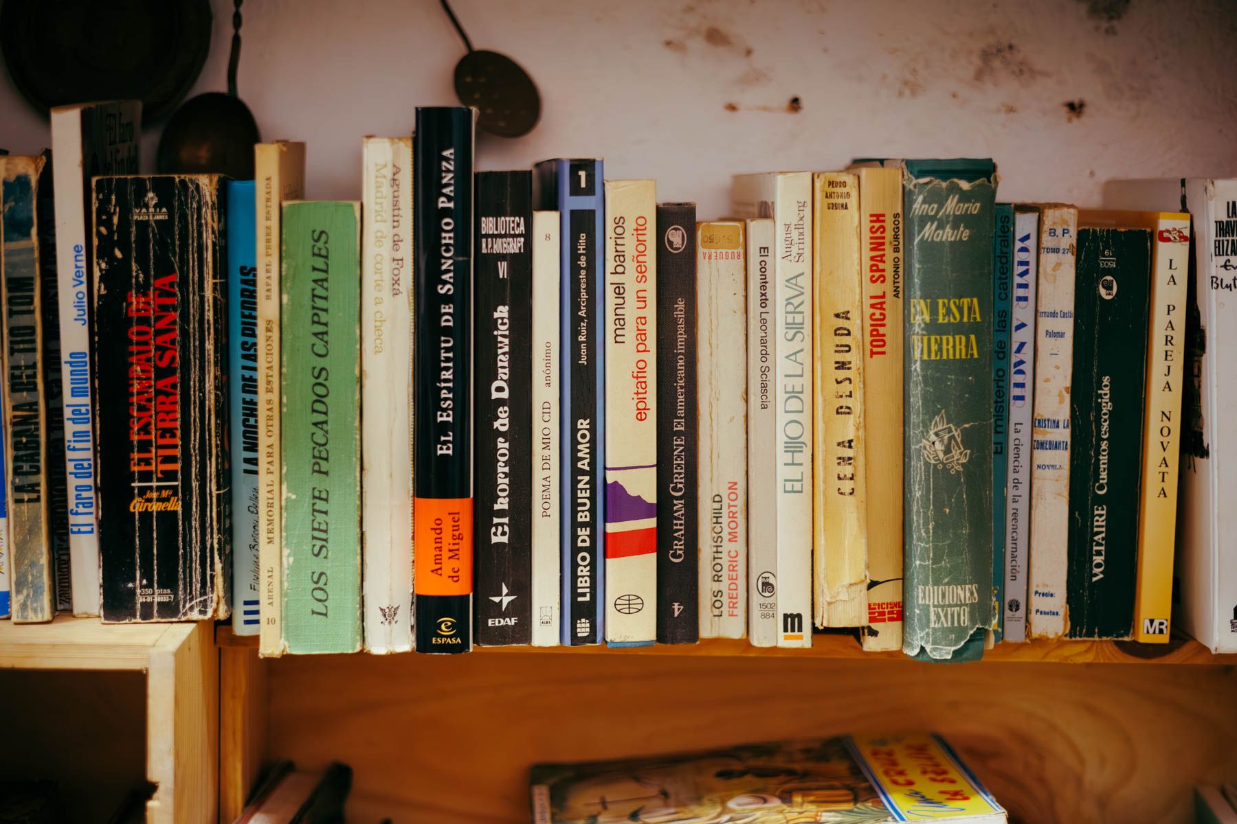 Libros en una estantería. - MANU GARCÍA