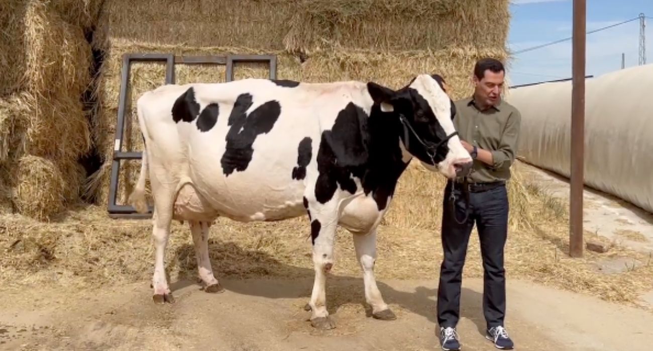 Moreno Bonilla, el hombre que susurra a las vacas, se encomienda a Fady: