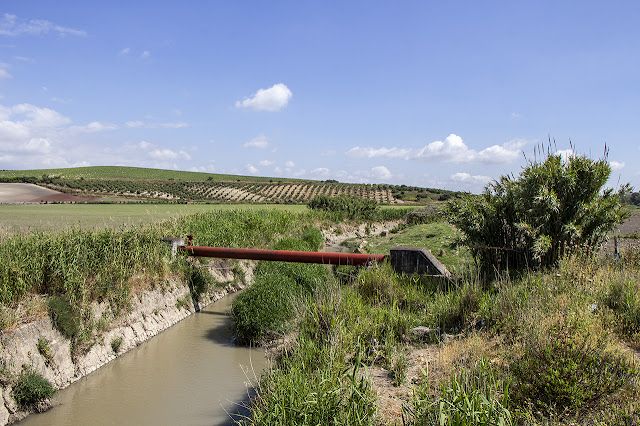 Arroyo Salado.   FACEBOOK
