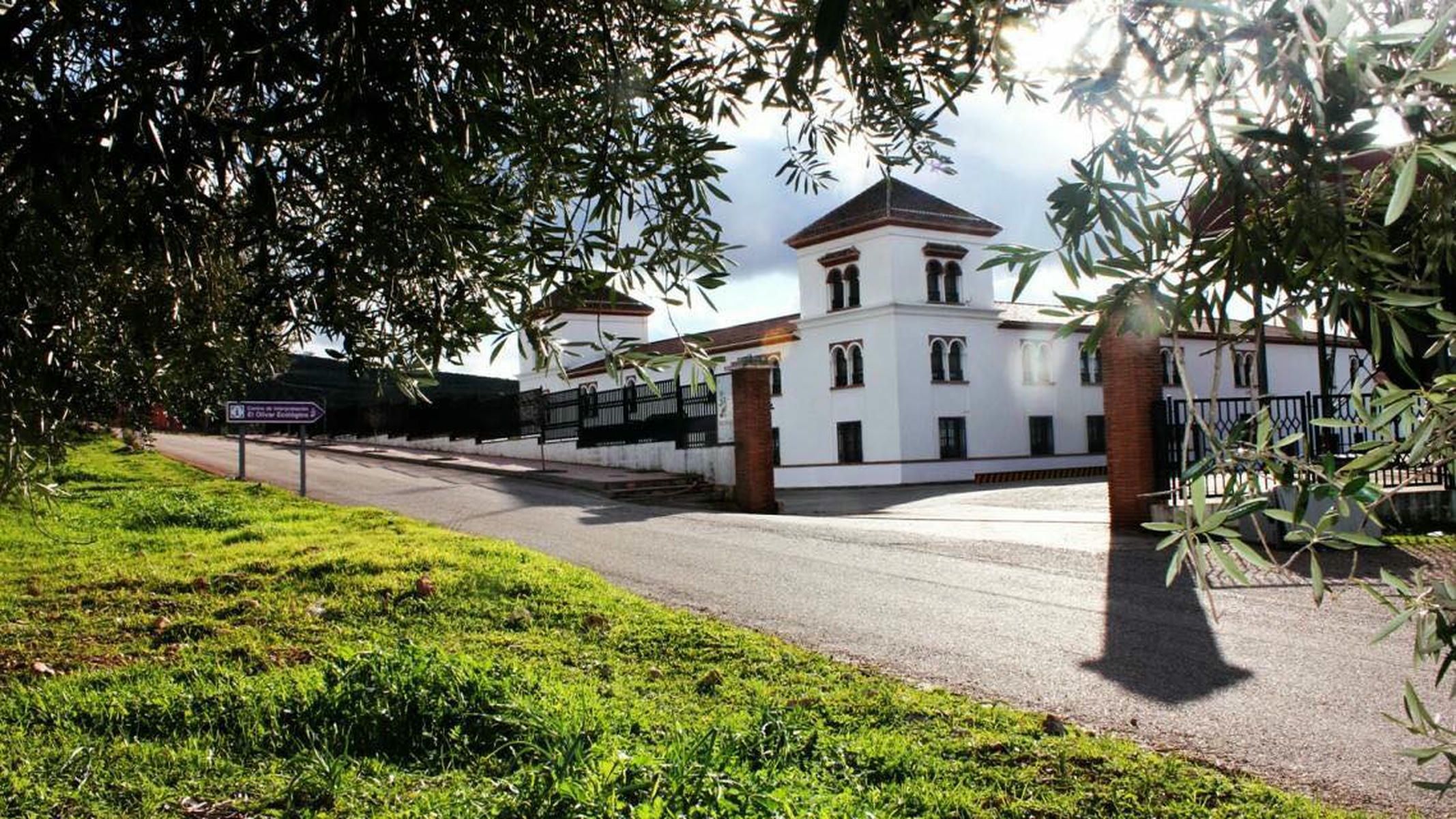 La cooperativa Sierra de Génave. - 