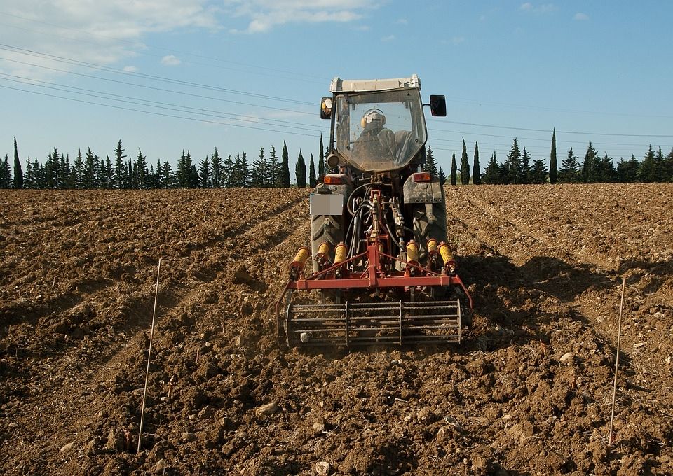 Las siembras y el número de jornales se reducen a la mitad en la cuenca del Guadalquivir