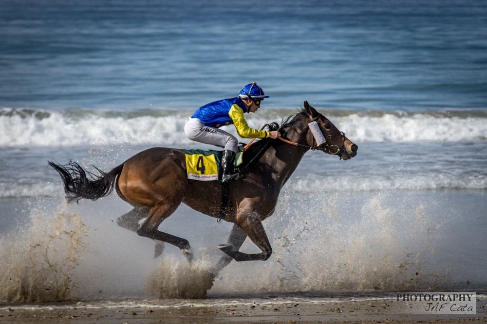 Gran Premio de Zahara: galope azul entre dos faros
