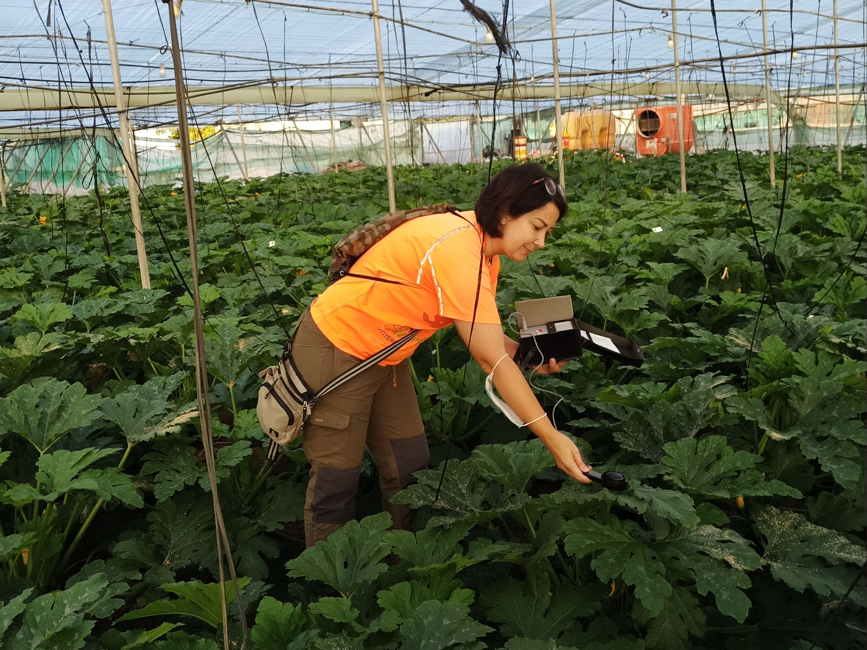 Más tecnología para un campo más competitivo