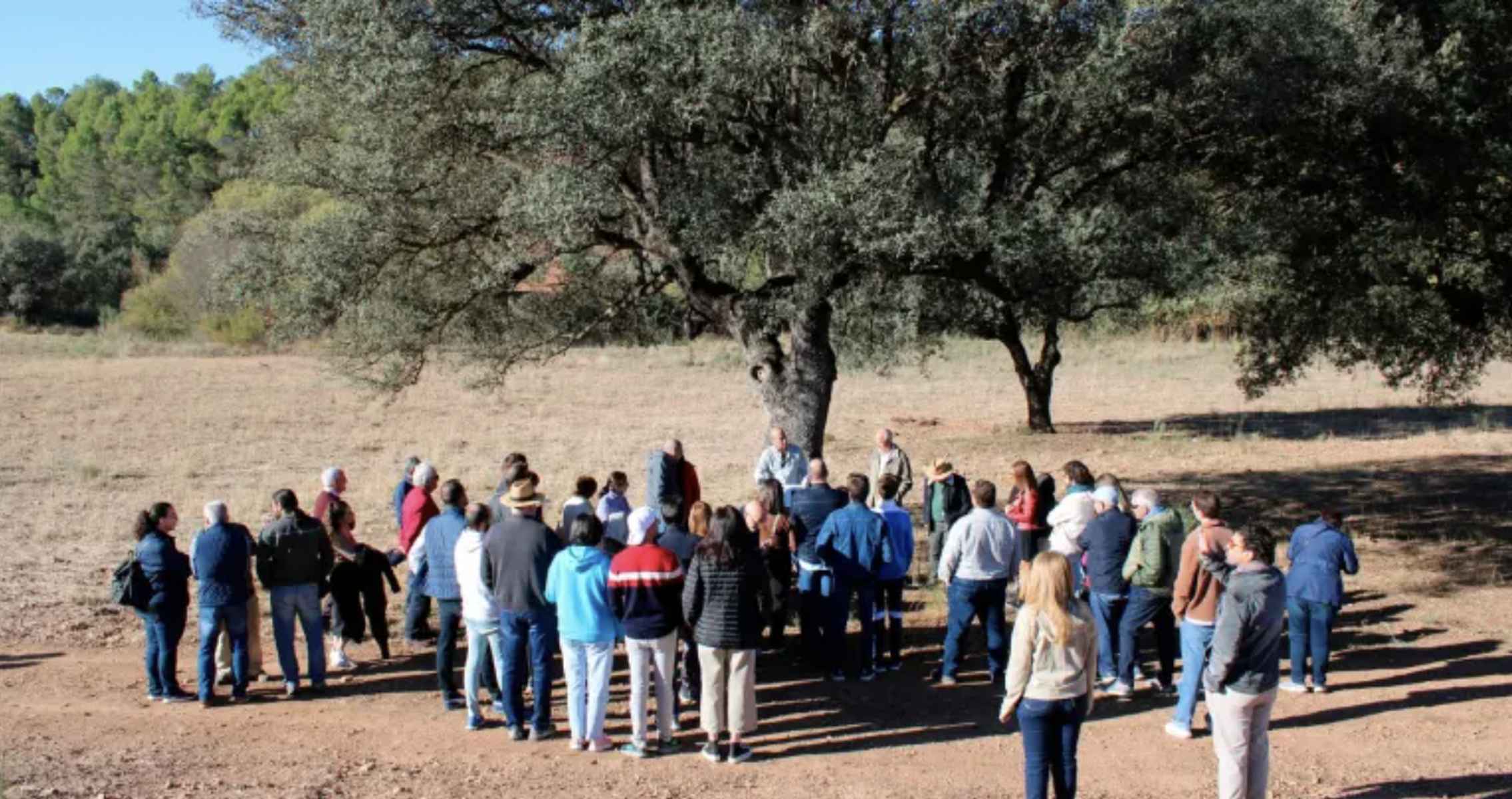 El día que se inauguró el bosque de los poetas. - 