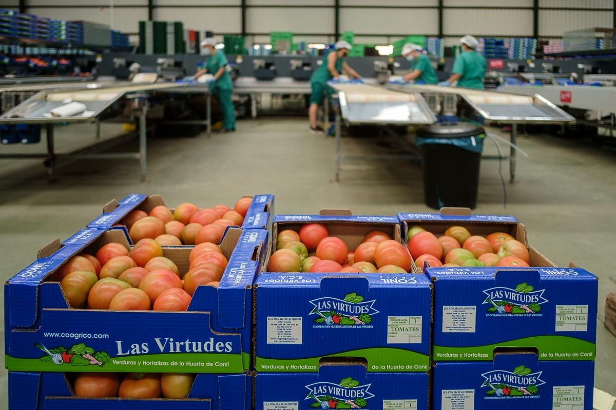 Andalucía bate su récord exportador histórico en el primer trimestre, pero Cádiz retrocede un 14,6%