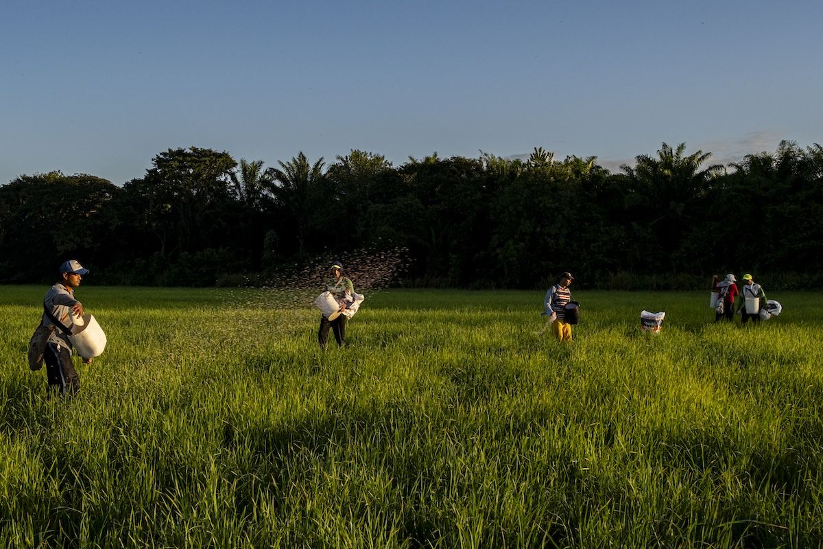 ¿Será la tierra en Colombia para quien la trabaja? (I)