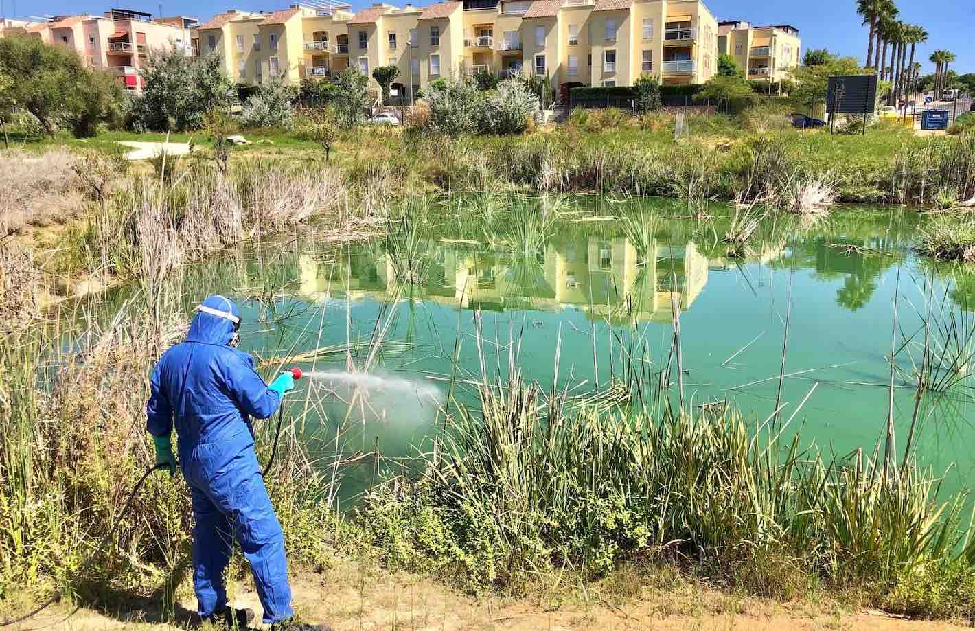 Alerta por el virus del Nilo en la provincia de Sevilla: detectados mosquitos portadores