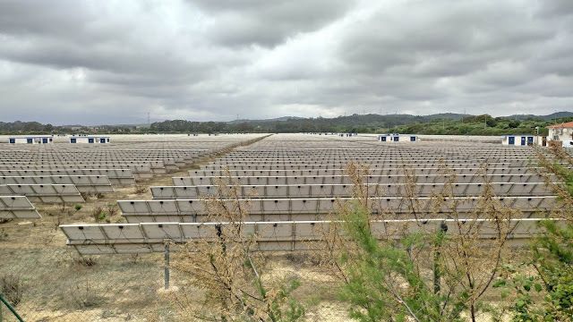 Precio de la luz hoy sábado 16 de mayo: horas gratis y el pico más caro en la jornada de reflexión