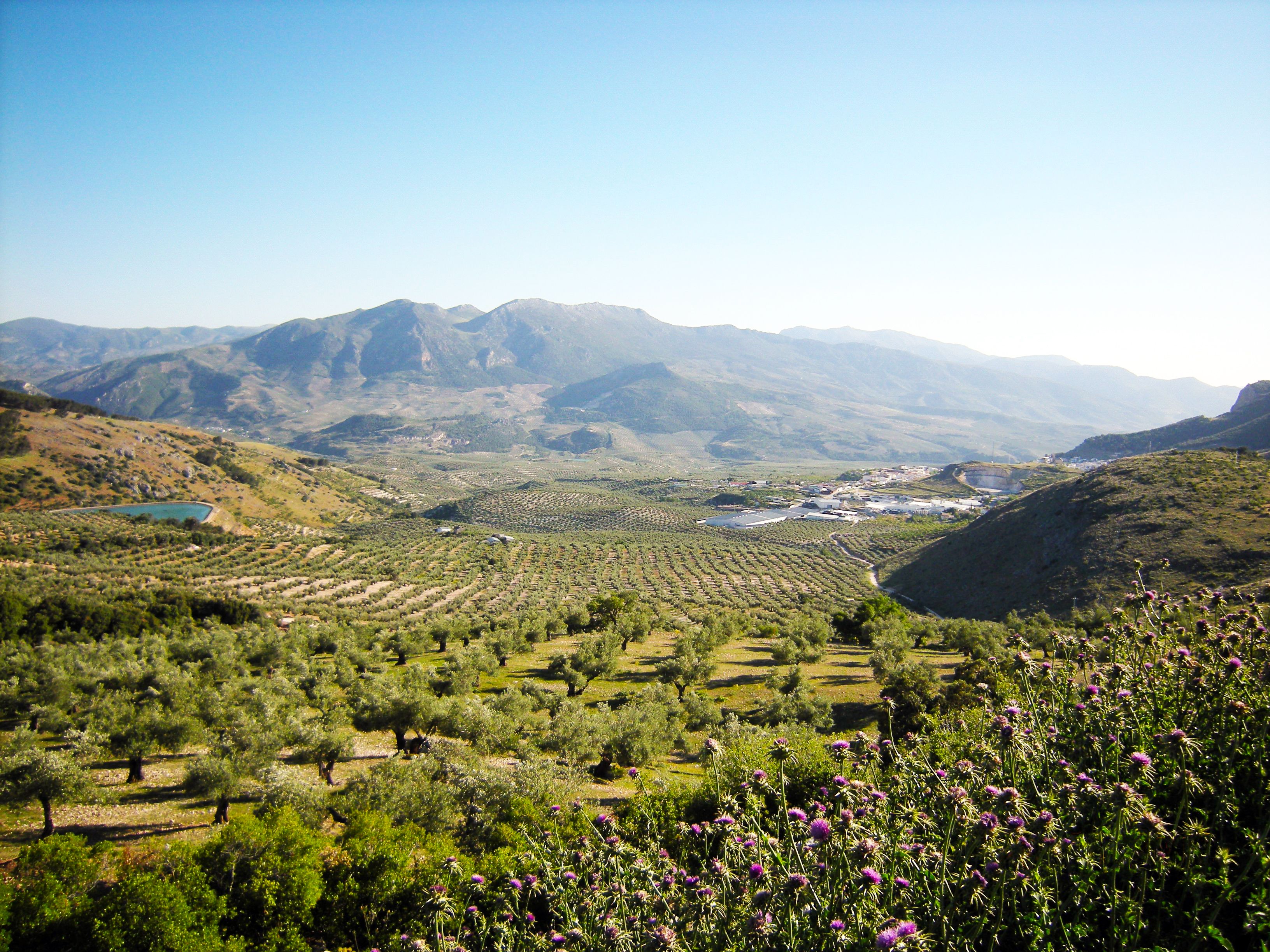La Tierra Callada