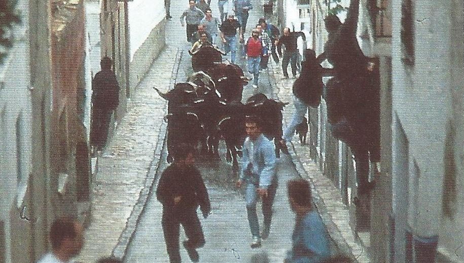 Una suelta de toros en La Peza, Granada. - 